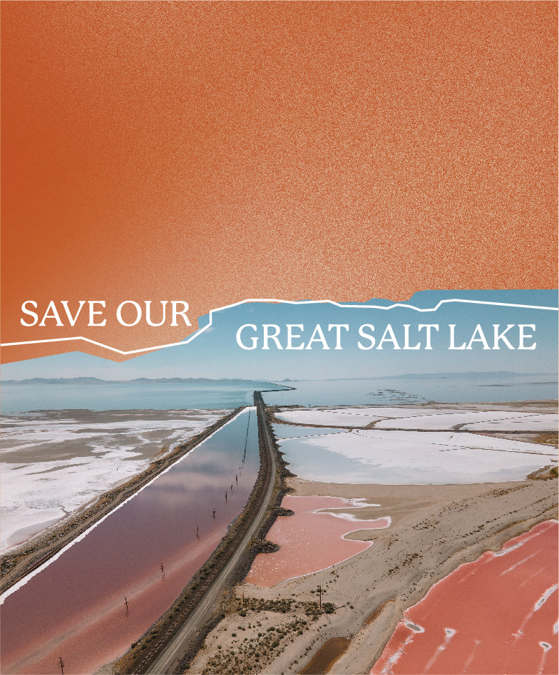 Save Our Great Salt Lake